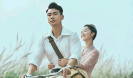 戴向宇主演的电视剧,情感纠葛与命运抉择