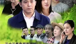 啊父老乡亲电视剧全集,温情再现，乡愁满溢的乡村生活画卷